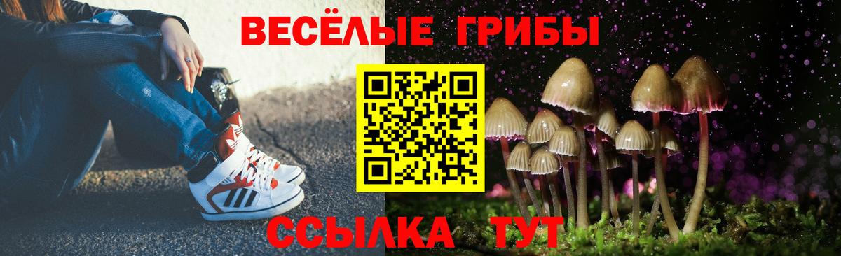 Галлюциногенные грибы ЛСД  Вход с VPN  Славгород  Галлюциногенные грибы Psilocybe 