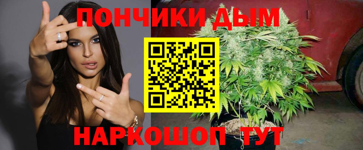 Шишки марихуана гибрид  Бошки марихуана семена  Вход с VPN  Славгород  Шишки марихуана Amnesia  Каннабис OG Kush 